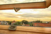 rated Cleish roof window companies